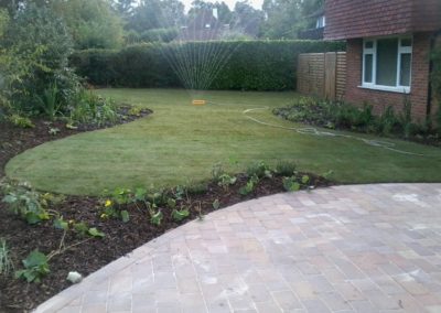 seeding and turfing works 10