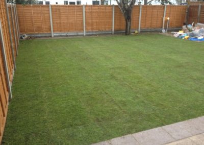 seeding and turfing works 19